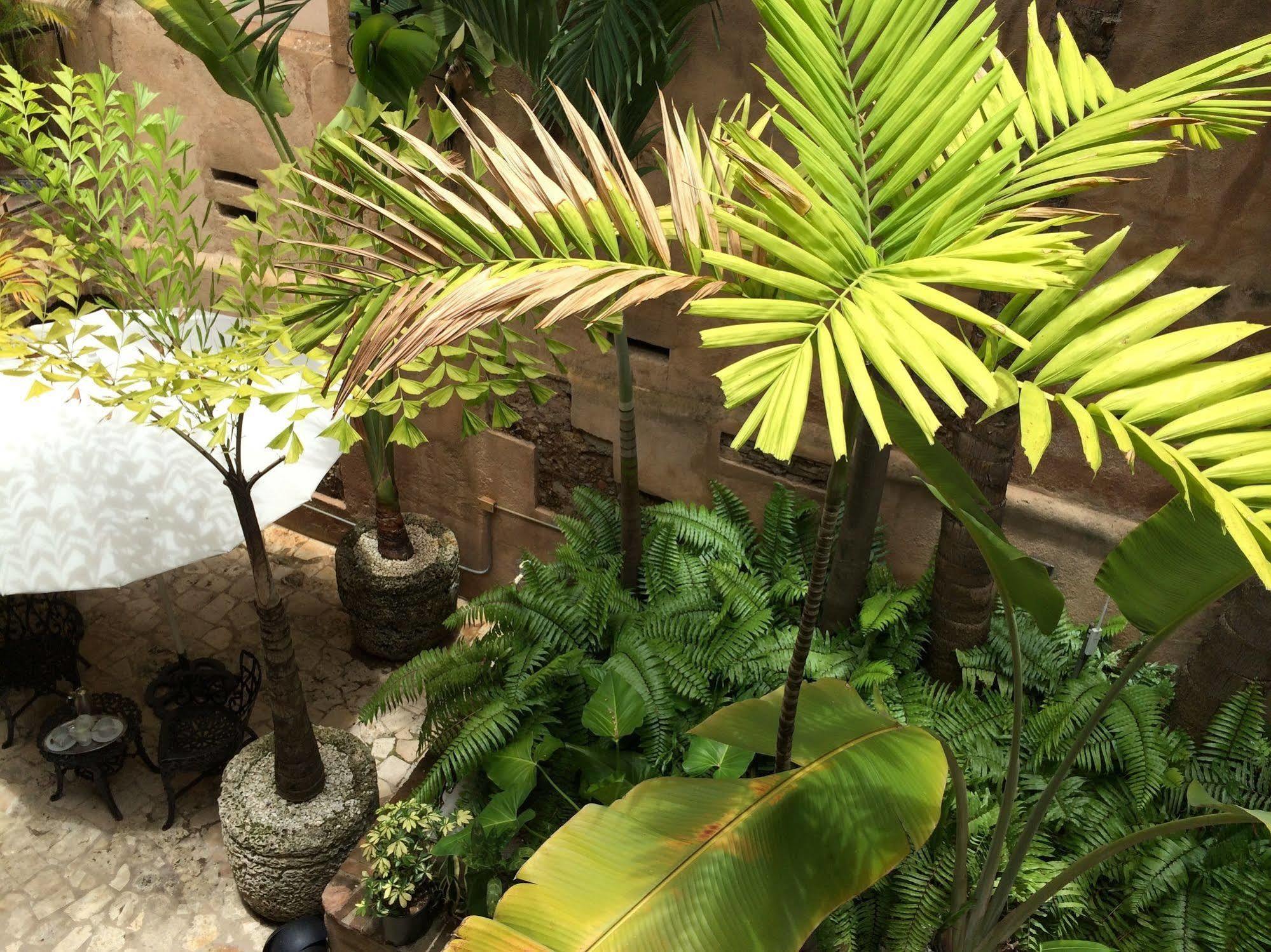 El Beaterio Casa Museo Hotel Santo Domingo Exterior photo